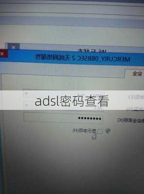 adsl密码查看