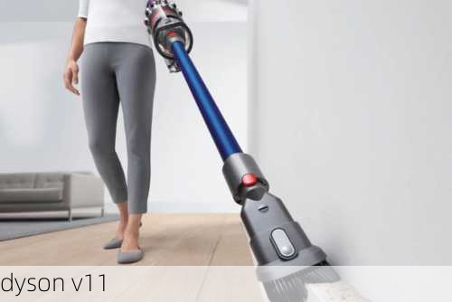 dyson v11