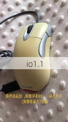 io1.1