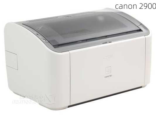 canon 2900