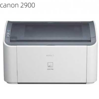 canon 2900