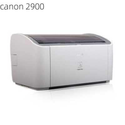 canon 2900