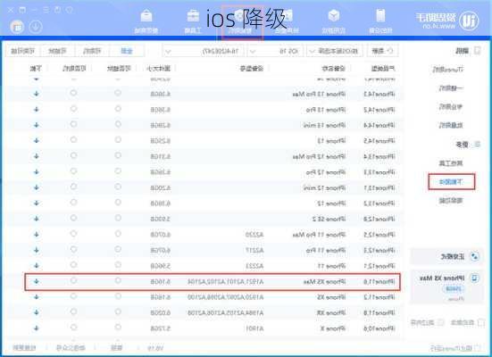 ios 降级