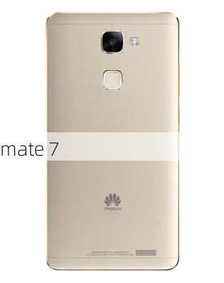 mate 7