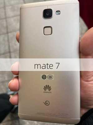 mate 7