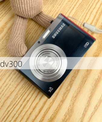 dv300