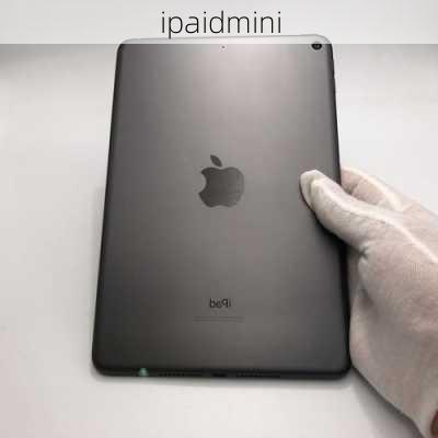 ipaidmini