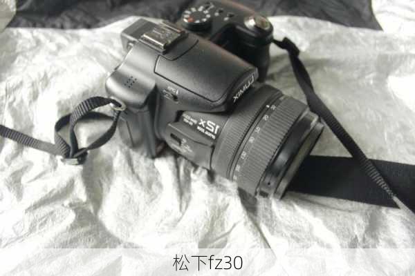 松下fz30