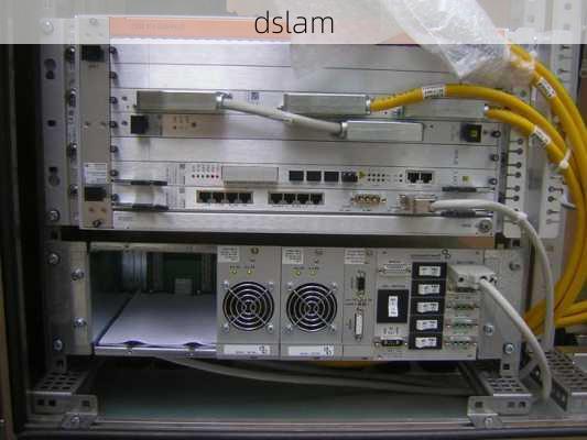 dslam