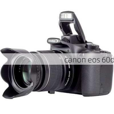 canon eos 60d