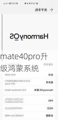 mate40pro升级鸿蒙系统