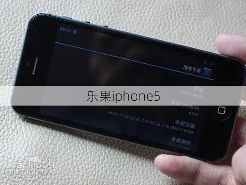 乐果iphone5