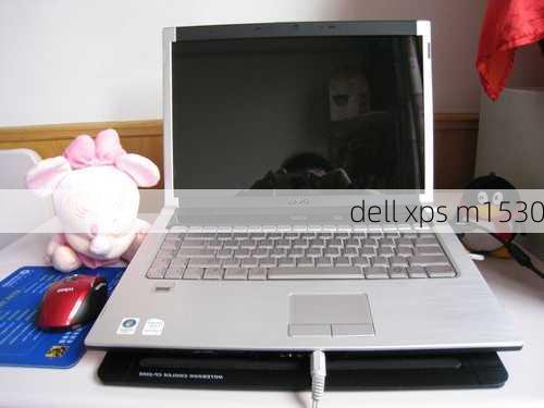 dell xps m1530