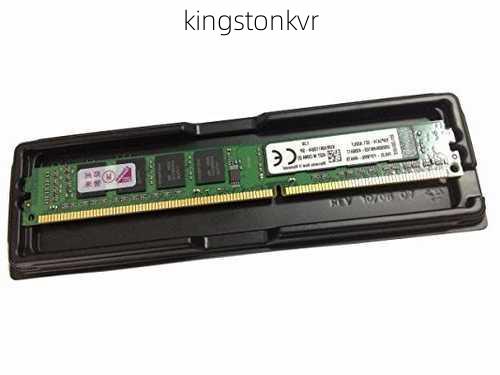 kingstonkvr