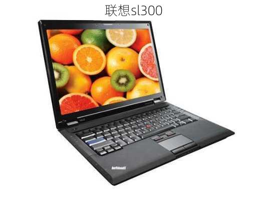 联想sl300