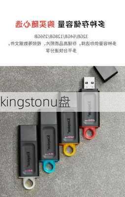 kingstonu盘