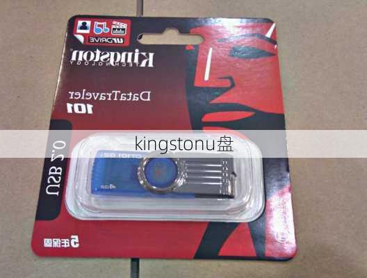 kingstonu盘