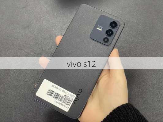 vivo s12