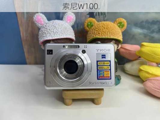 索尼W100