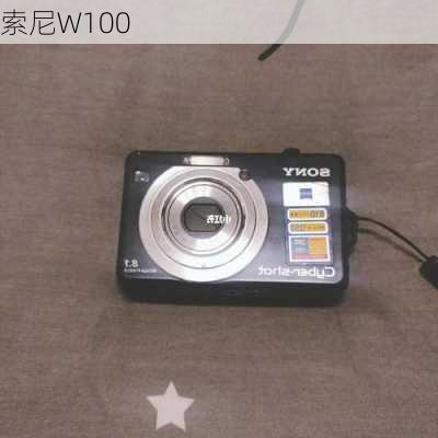 索尼W100