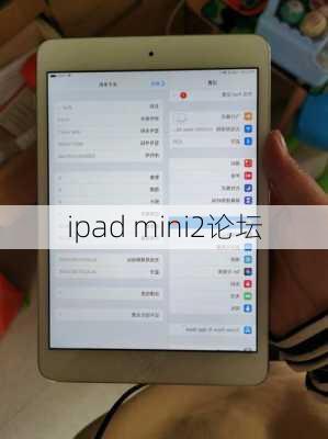 ipad mini2论坛