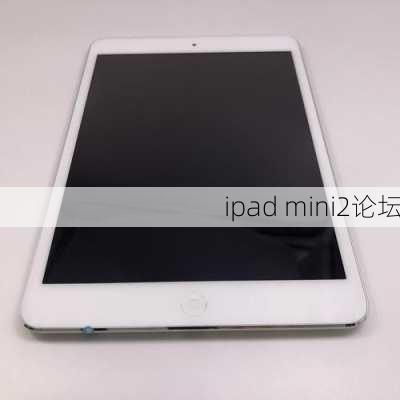 ipad mini2论坛