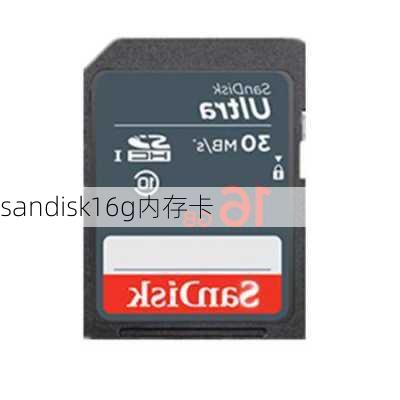 sandisk16g内存卡