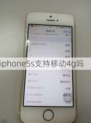 iphone5s支持移动4g吗