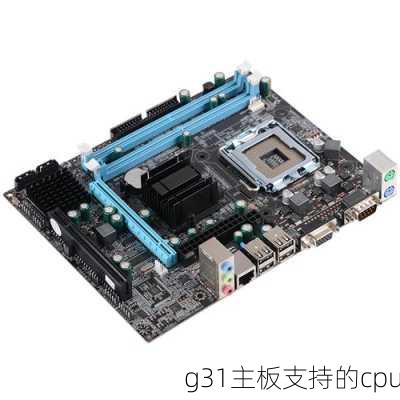 g31主板支持的cpu