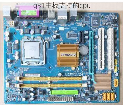 g31主板支持的cpu