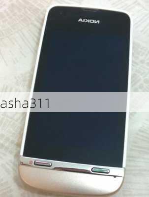 asha311