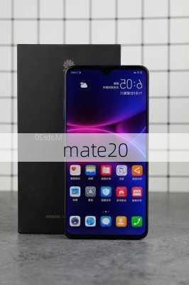 mate20