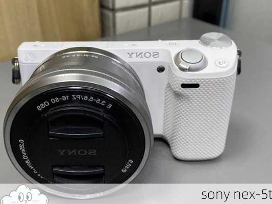 sony nex-5t