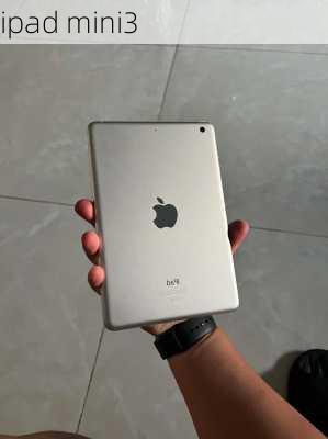 ipad mini3