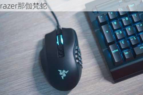 razer那伽梵蛇