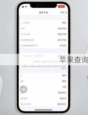 苹果查询
