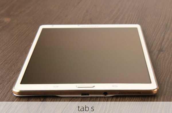 tab s