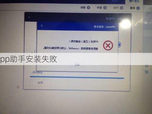 pp助手安装失败