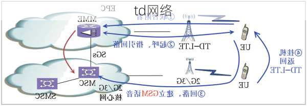 td网络