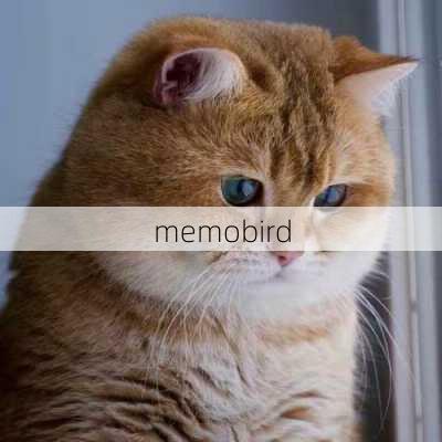 memobird