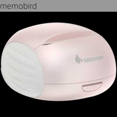 memobird