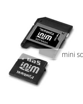 mini sd