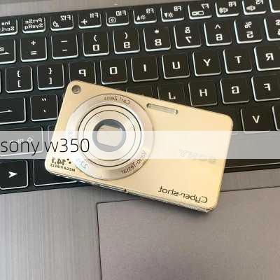 sony w350