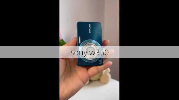 sony w350