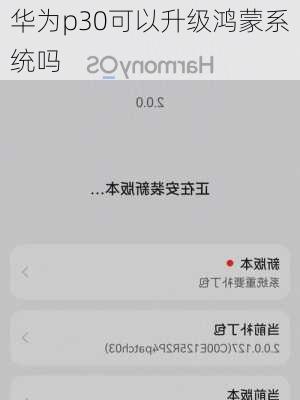 华为p30可以升级鸿蒙系统吗