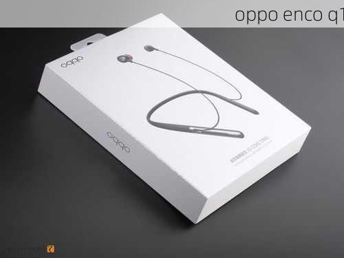 oppo enco q1