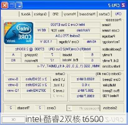 intel 酷睿2双核 t6500