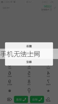 手机无法上网