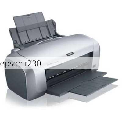 epson r230