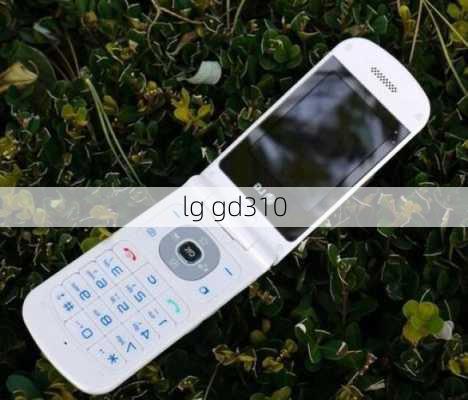 lg gd310